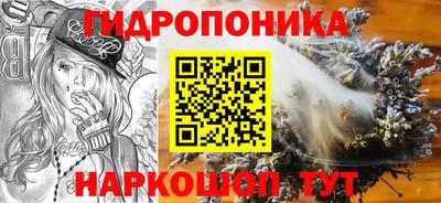 гашик Туймазы